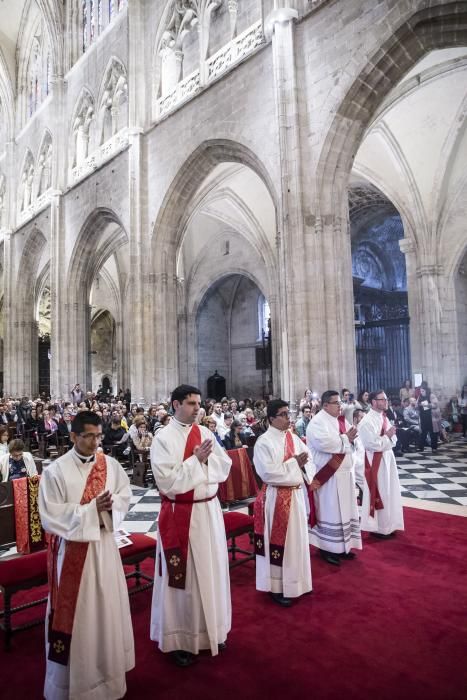 Ordenación de nuevos sacerdotes en la Catedral