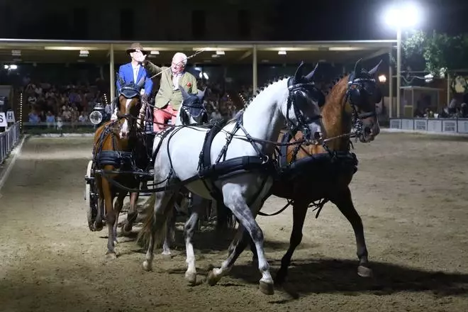 Las finales del Campeonato de Europa del Caballo Lusitano, en imágenes