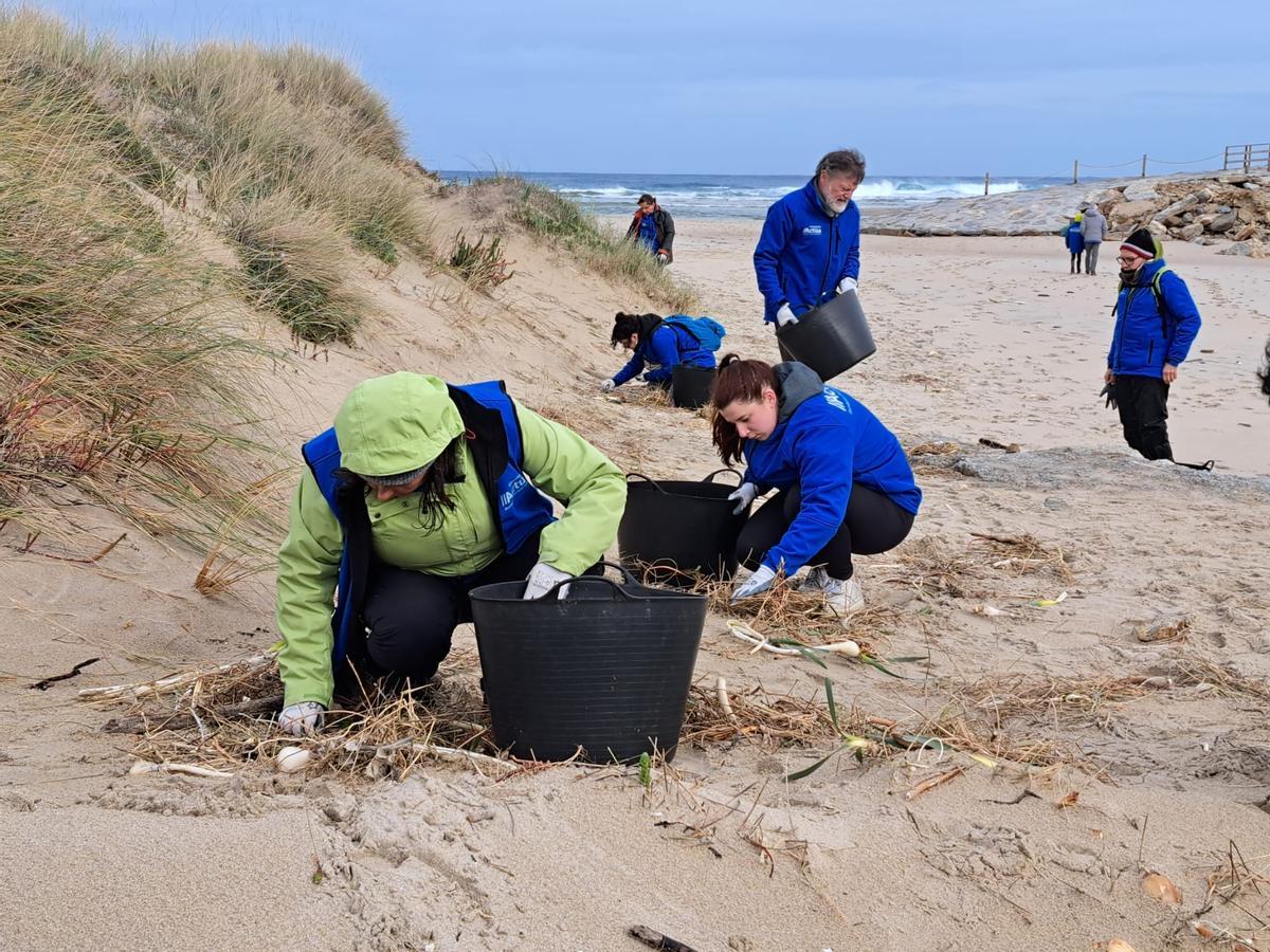 Voluntarios retirando residuos en el espacio natural de Razo y Baldaio.