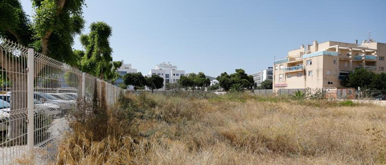 El solar atestado de ratas de la avenida Pere Matutes Noguera.