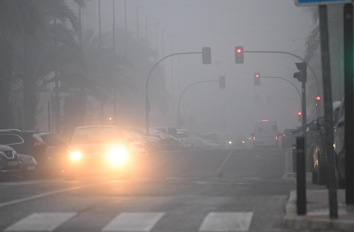 La niebla deja estampas invernales en la provincia de Alicante