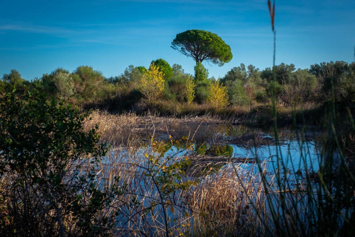 Figueres donarà un nou impuls a l'espai de les Basses del Terrisser