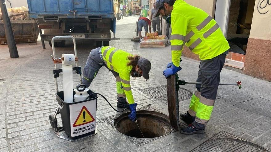 San Vicente inicia la campaña de desinsectación y desratización para el control de insectos y roedores