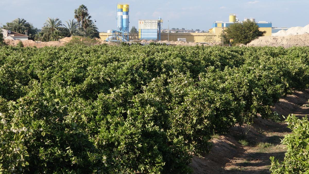 Imagen de la fábrica y nave de material de construcción en Los Pérez, denunciada por los vecinos