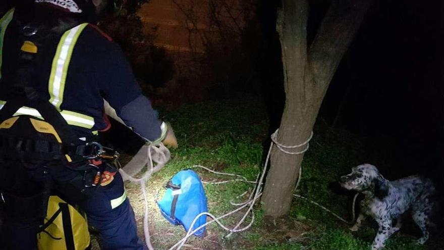 A la derecha, el cachorro recién izado en el acantilado de As Galeras por el equipo de Emergencias de Oleiros.