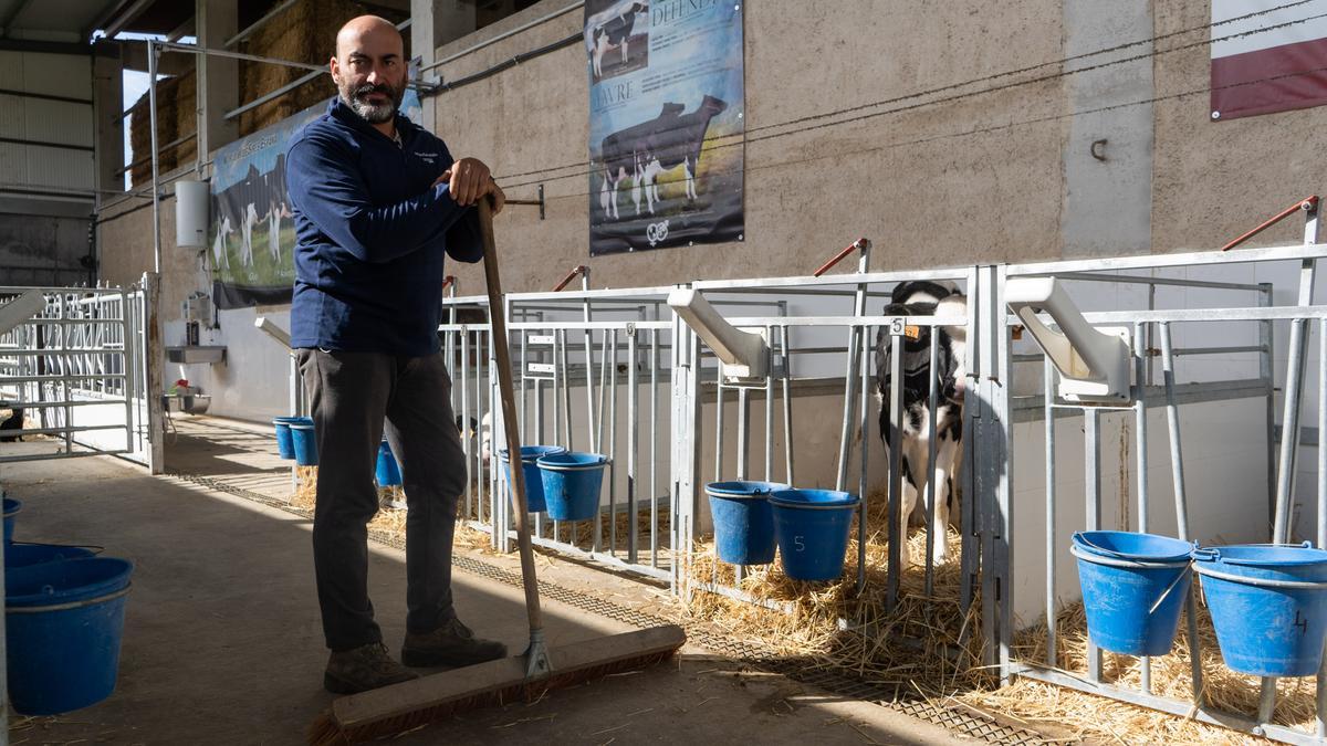 Jorge Hernández en la granja de vacas de leche de Monfarracinos