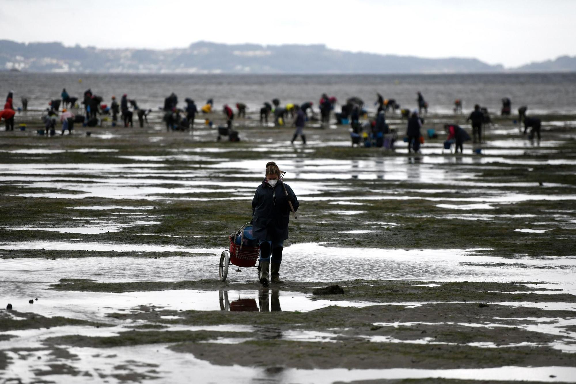 Las mariscadoras vuelven a faenar