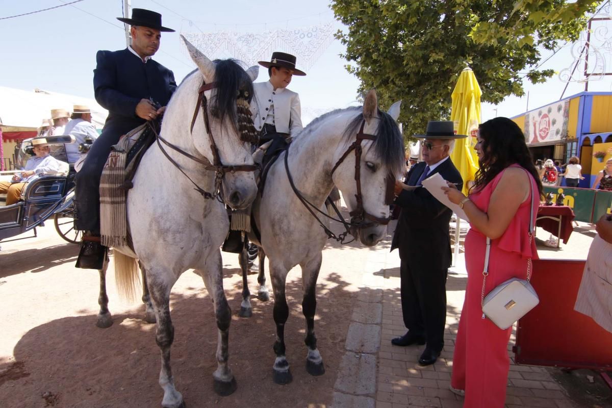 Los mejores en El Arenal