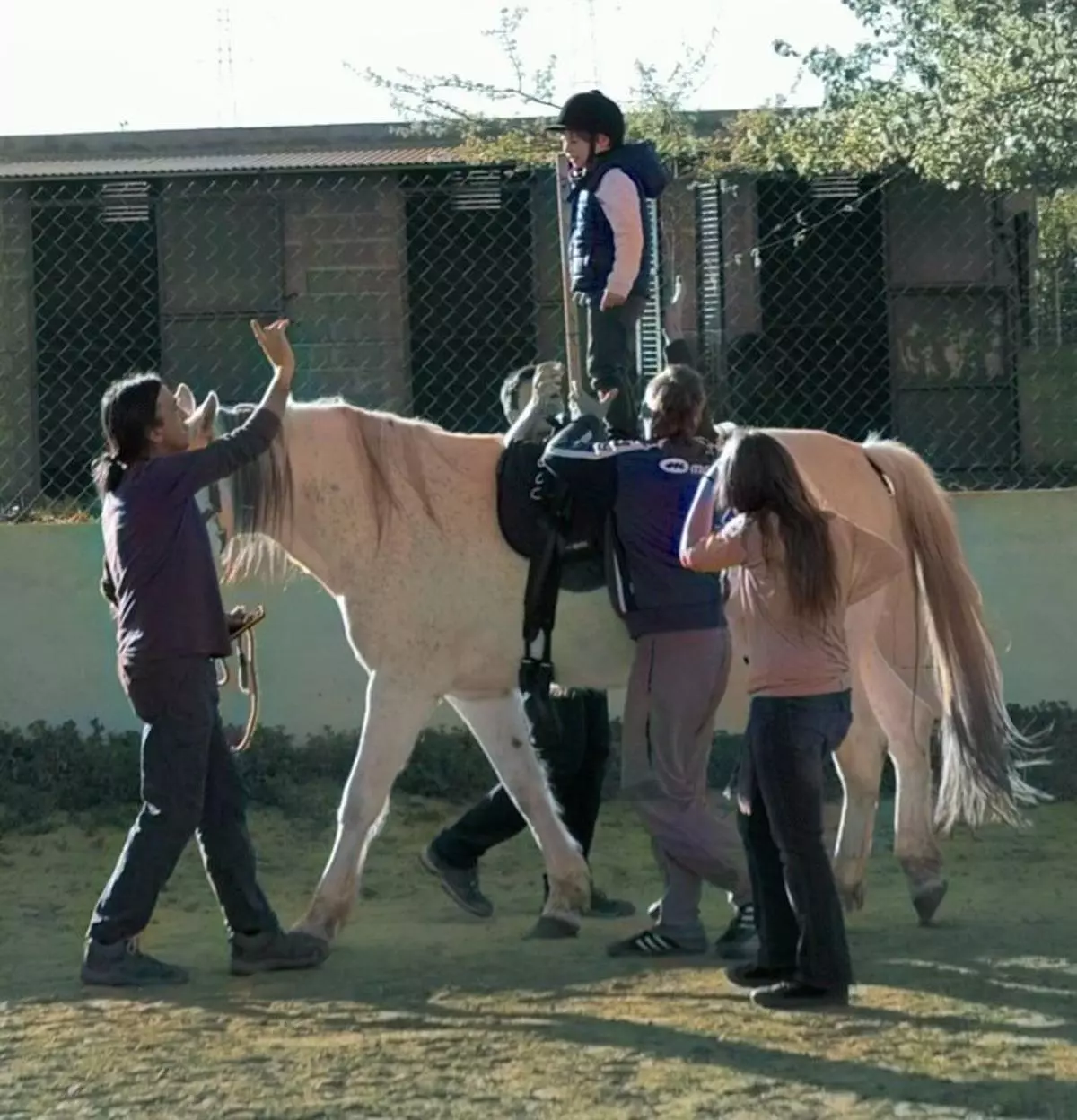 Diseñan un programa de intervención educativa asistida con caballos para el equilibrio en niños con autismo