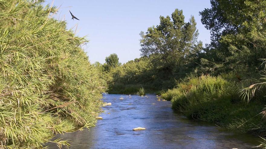 Alertan que menores usan &#039;toboganes&#039; muy peligrosos en un río de Castellón: &quot;Pongamos remedio antes de lamentar una desgracia&quot;