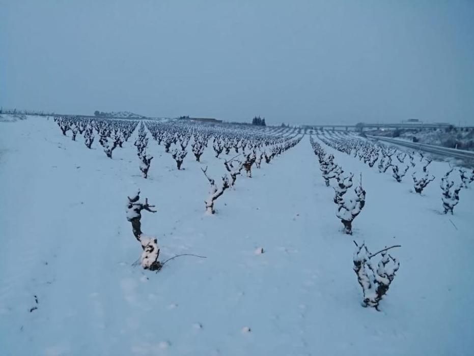 Nieve sobre Utiel y Requena