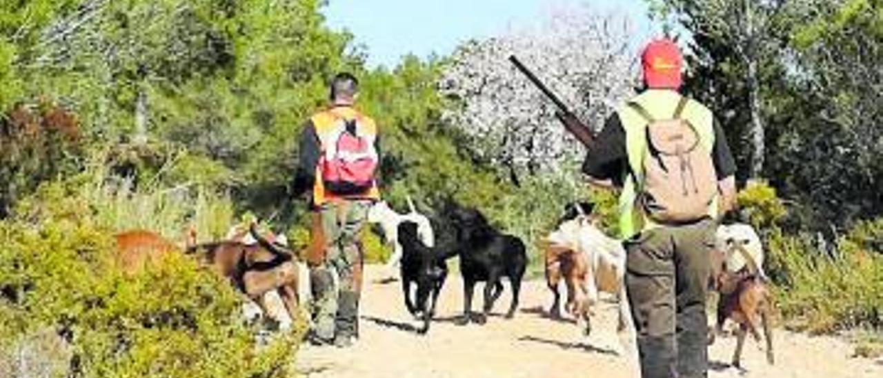 El Consell permitirá el uso del dogo argentino para la caza del jabalí