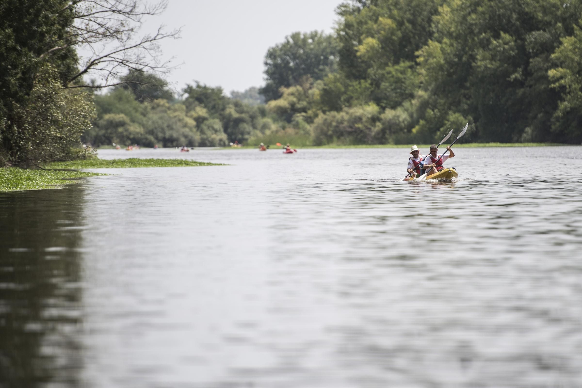 La XV edición del Descenso de Río Alagón, en imágenes