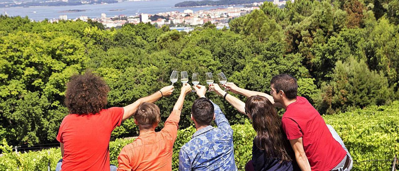 Participantes en las Rutas do Viño ante los viñedos de Pazo de Rubiáns. | // FDV