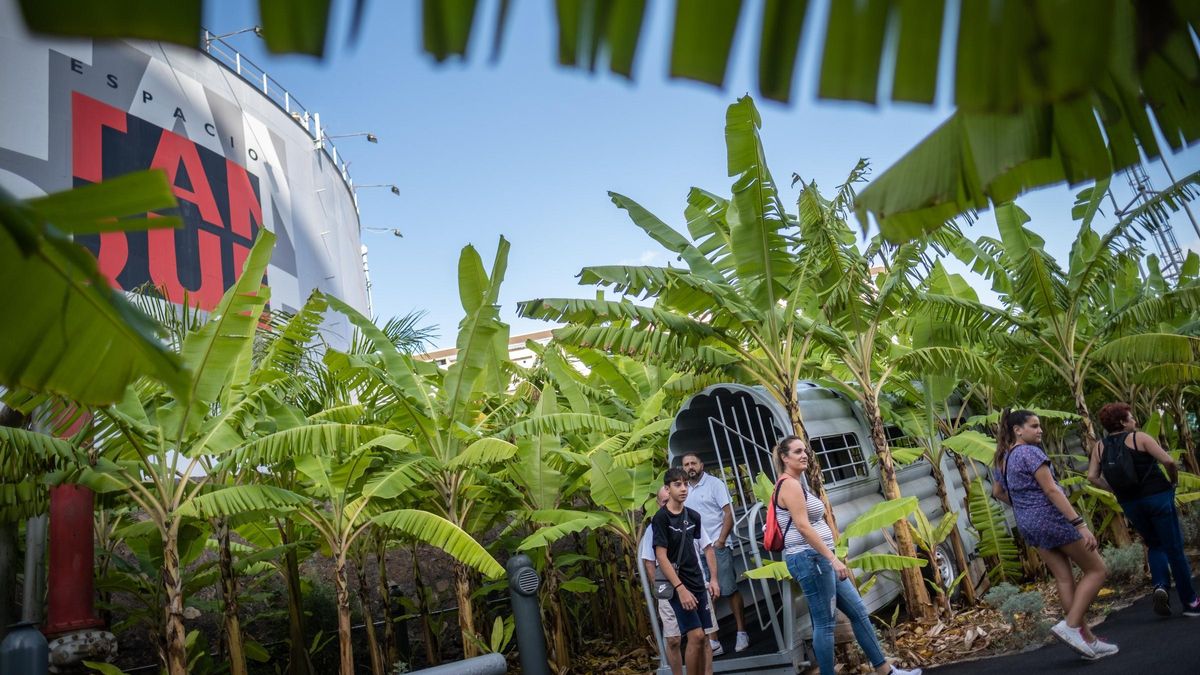 El Jardín del Espacio Cultural El Tanque inaugurado en octubre.