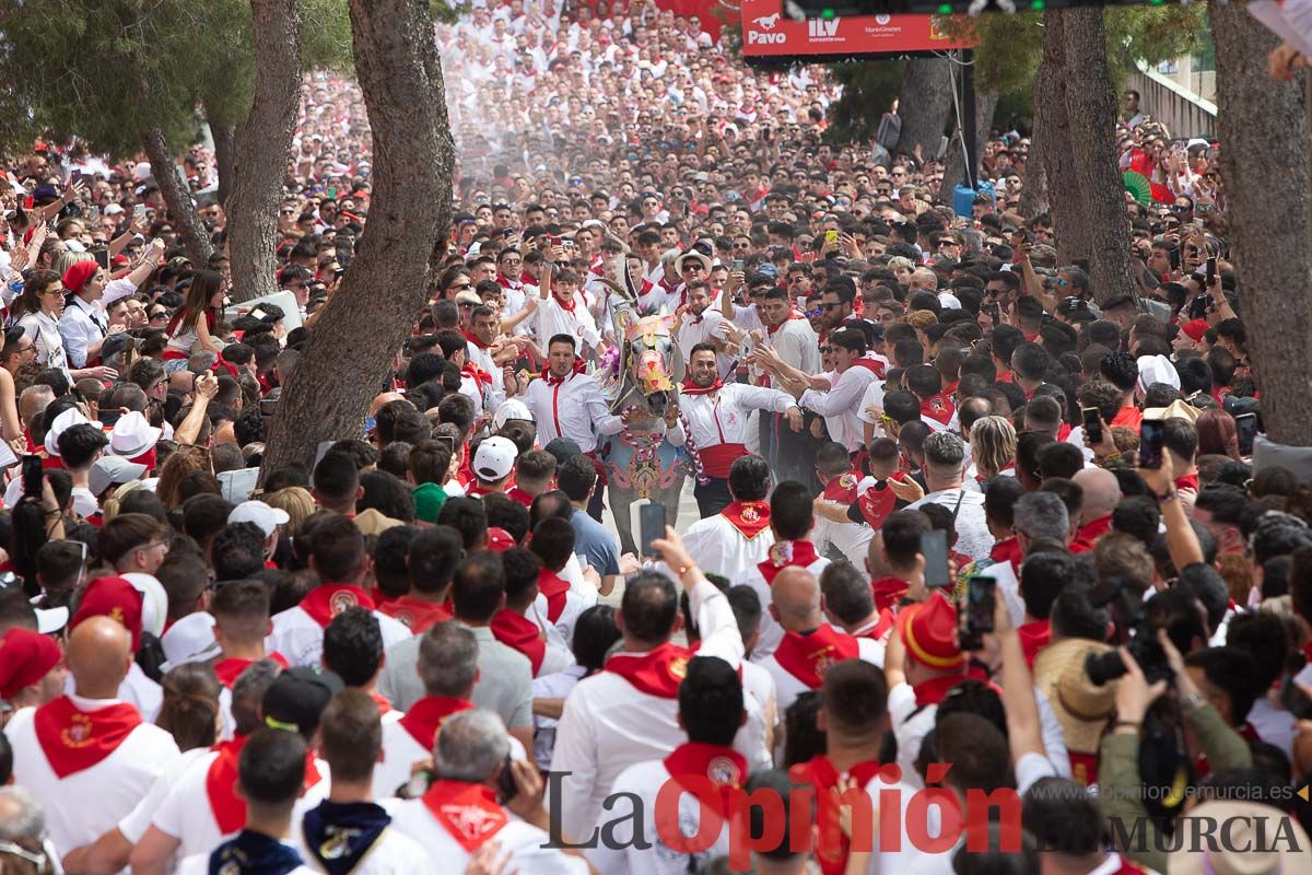 Así ha sido la carrera de los Caballos del Vino en Caravaca