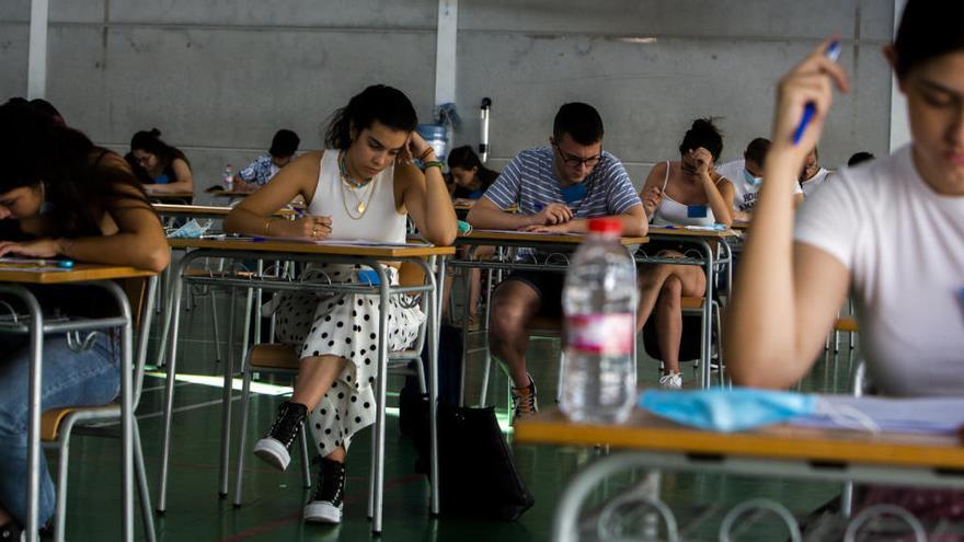 Notas De Corte En La Ua Y Umh Las Carreras Universitarias Con Mayor Nota De Corte En Alicante Y Elche