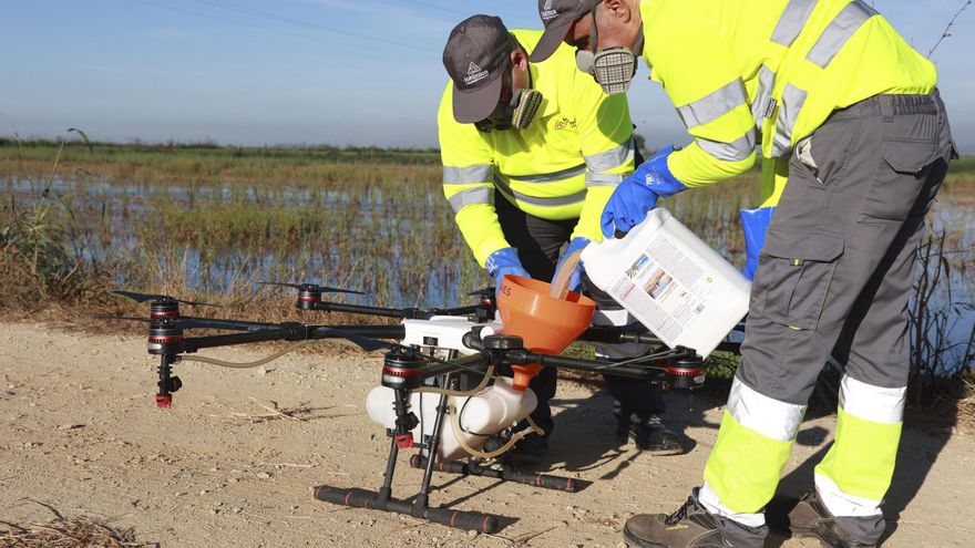 Andalucía registra en 2024 un récord de mosquitos transmisores del Virus del Nilo con 118.600 capturas