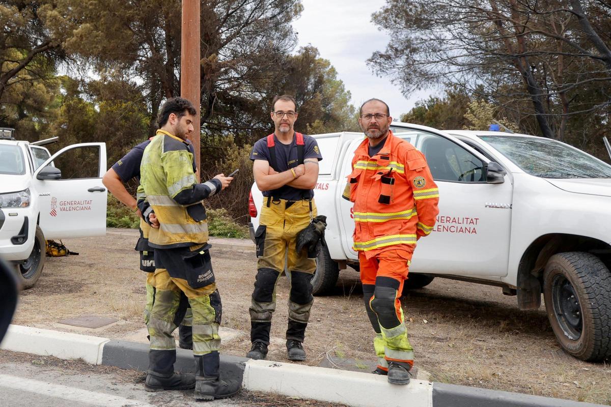 Las primeras imágenes del Saler tras el devastador incendio en la Devesa