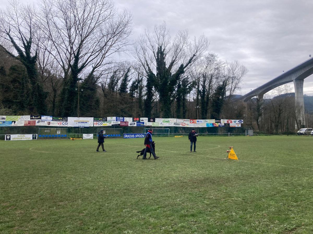 Gélida mañana de campeonato de adiestramiento canino en Cornellana