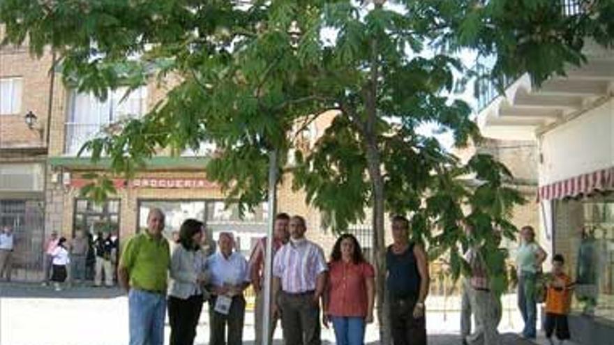 El PSOE protesta por el arranque de árboles en la plaza de los toros