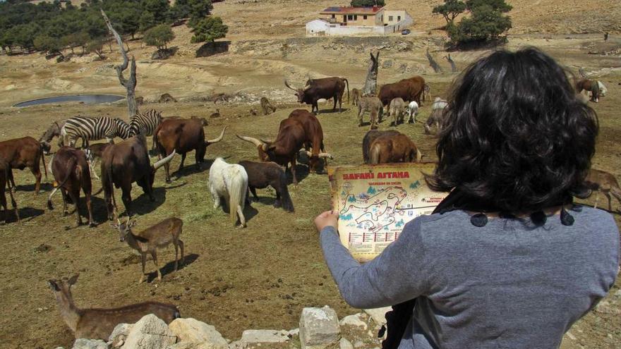 Vista del Safari Aitana tras su reapertura