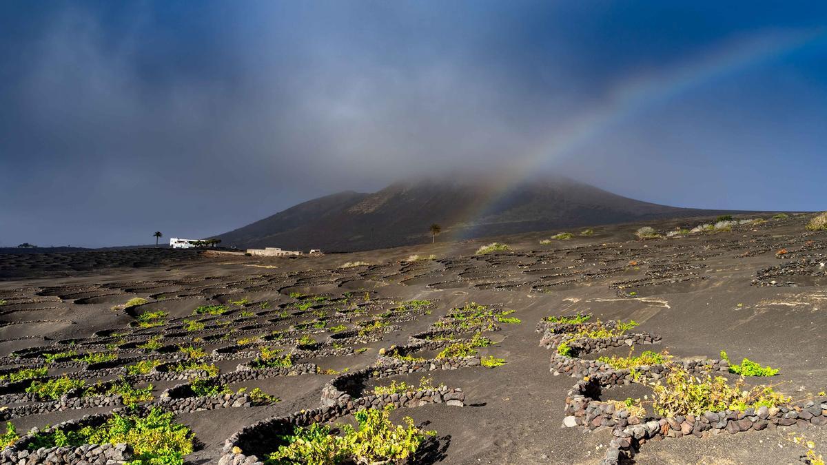 Lluvias de verano en La Geria, ayer, en Lanzarote.