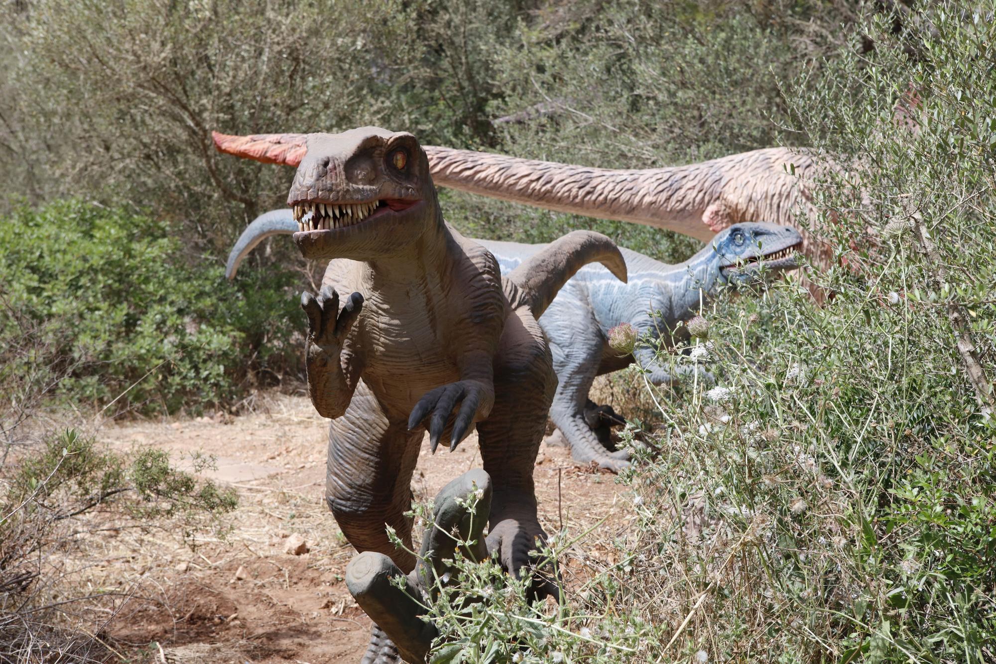 Besuch im neuen Dino-Park auf Mallorca