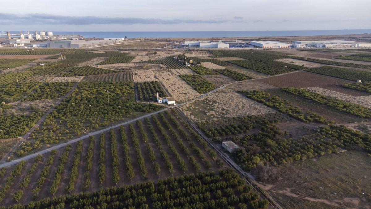 Terrenos donde se ubicará la gigafactoría en Parc Sagunt.