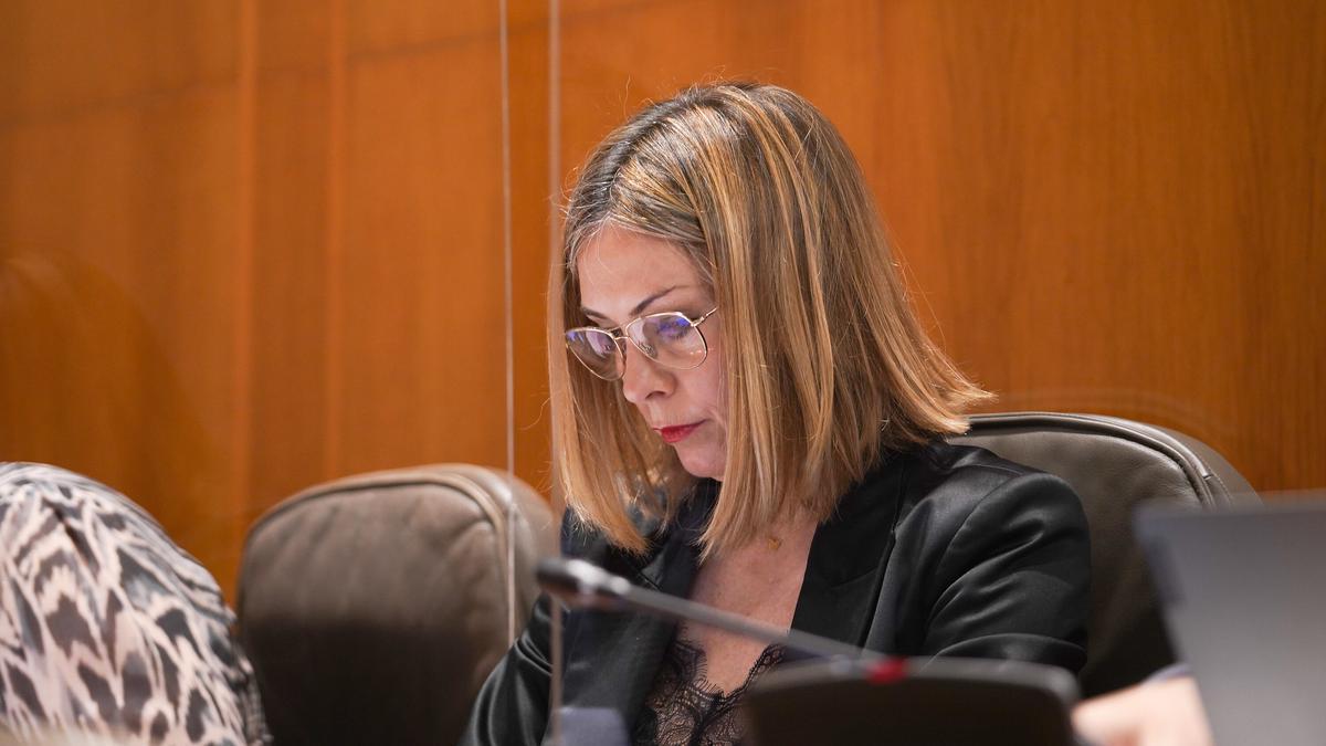 Ana Cristina Sainz, durante la sesión parlamentaria.