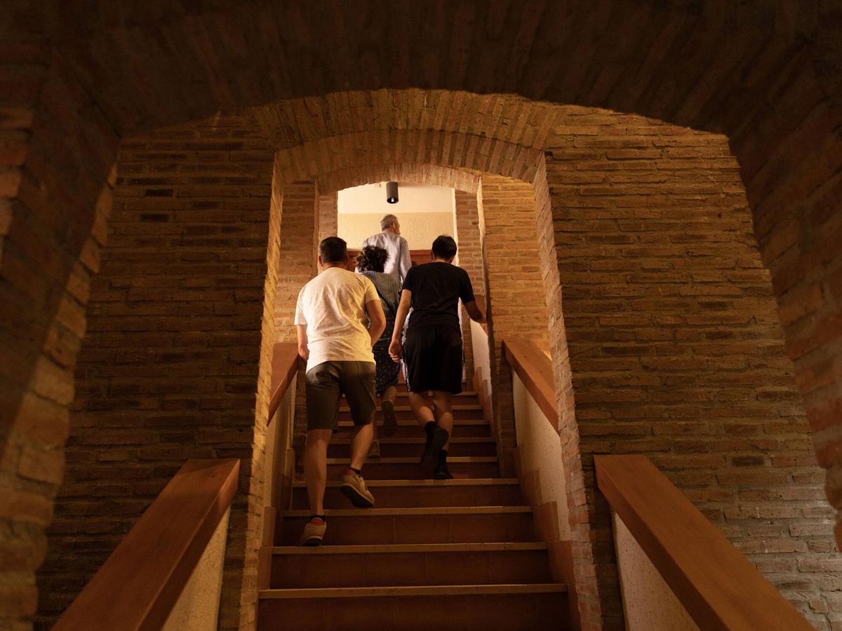 Las mejores imágenes del archivo de Toro
