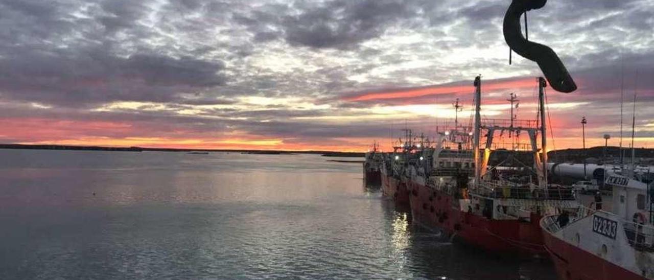 Panorámica del muelle de Puerto Deseado, con la flota de la filial Argenova. // @tesadiazfaes / NPVA