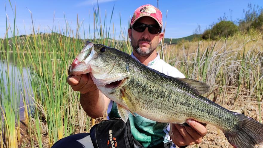 Buena pesca, articulos de pesca, black bass, deportes marquez