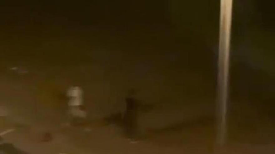 Reté un lladre que intentava robar eines de la seva furgoneta a Salt