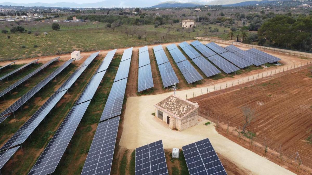 Vista general de la planta solar Son Ripollet.