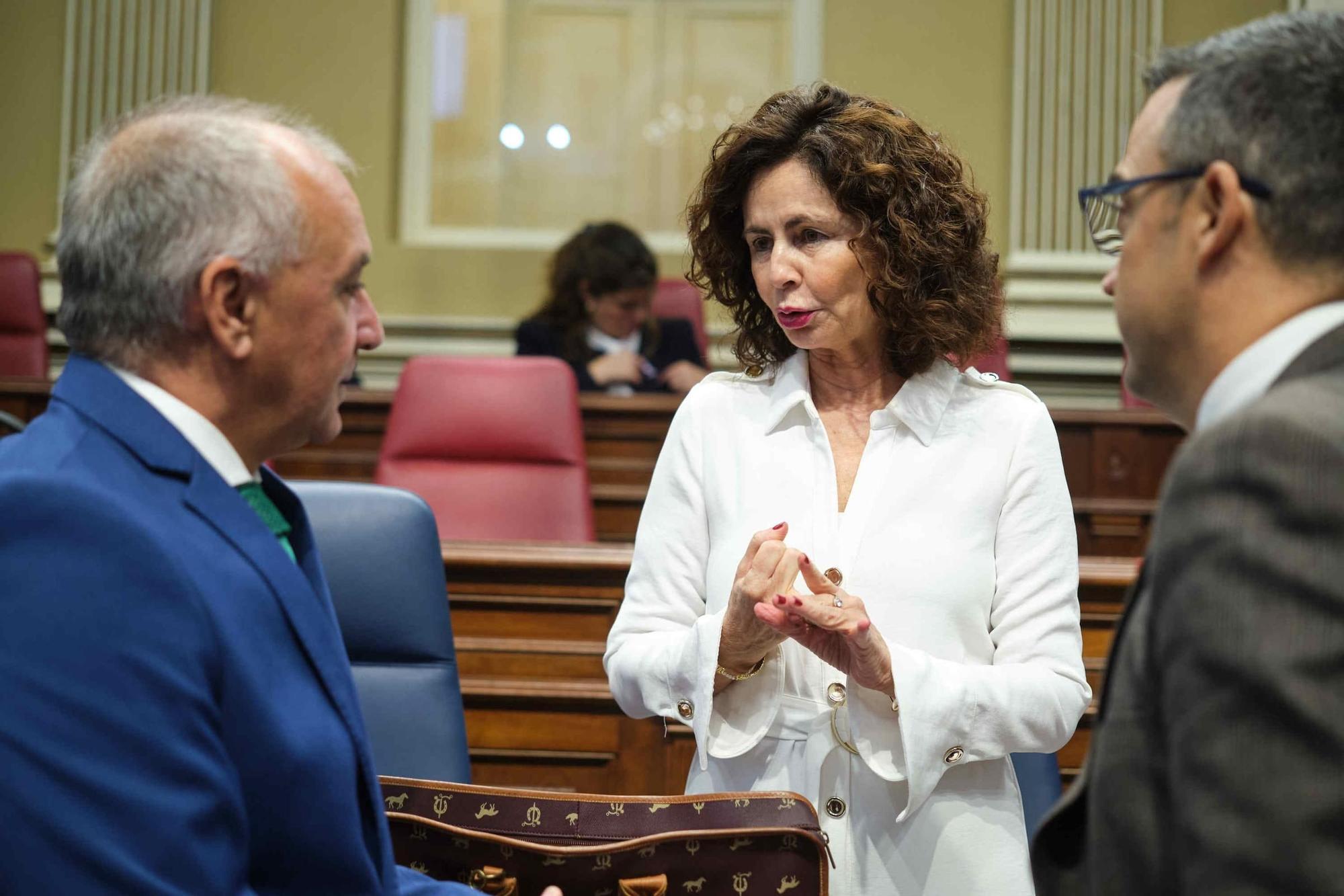 Sesión plenaria del Parlamento de Canarias.