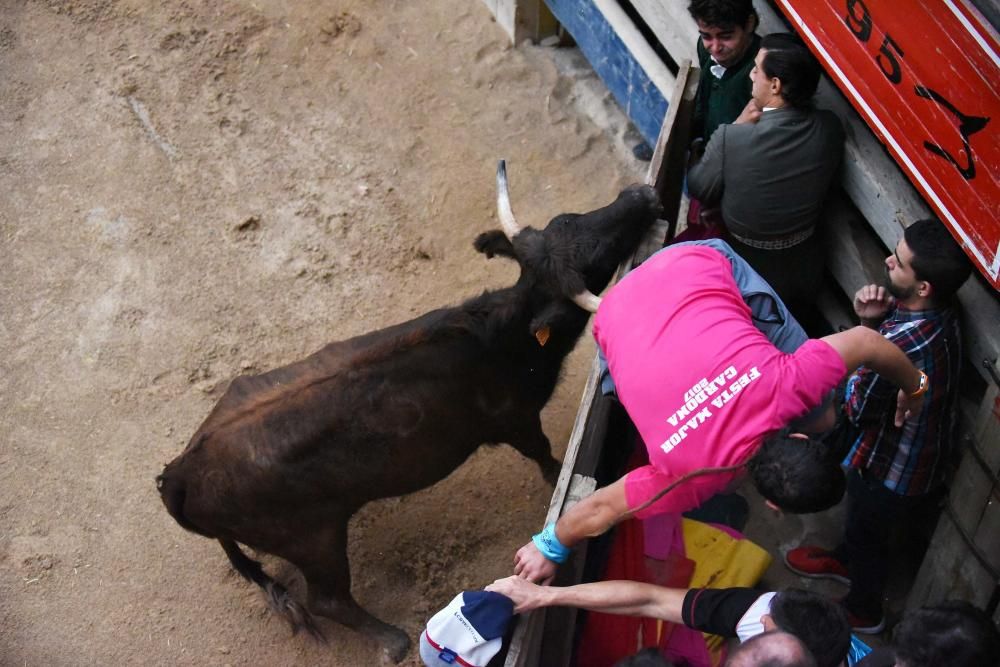 Corre de bou de Cardona