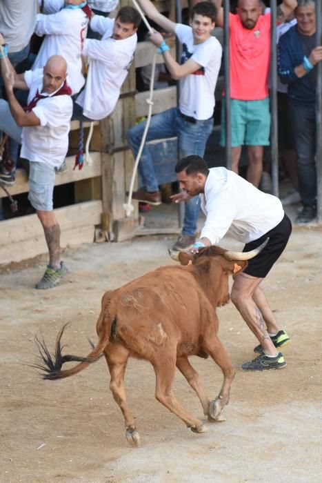 Imatges de la jornada de diumenge del corre de bou de Cardona 2017