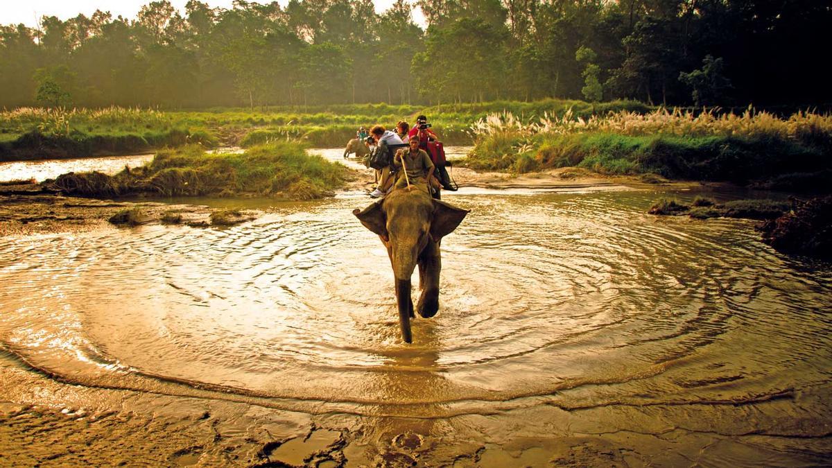 Un lugar llamado Chitwan: en lo más profundo de la selva del Himalaya