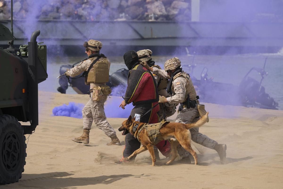 Exhibición por el Día de las Fuerzas Armadas, en la playa de Alcaravaneras Exhibición por el Día de las Fuerzas Armadas, en la playa de Alcaravaneras