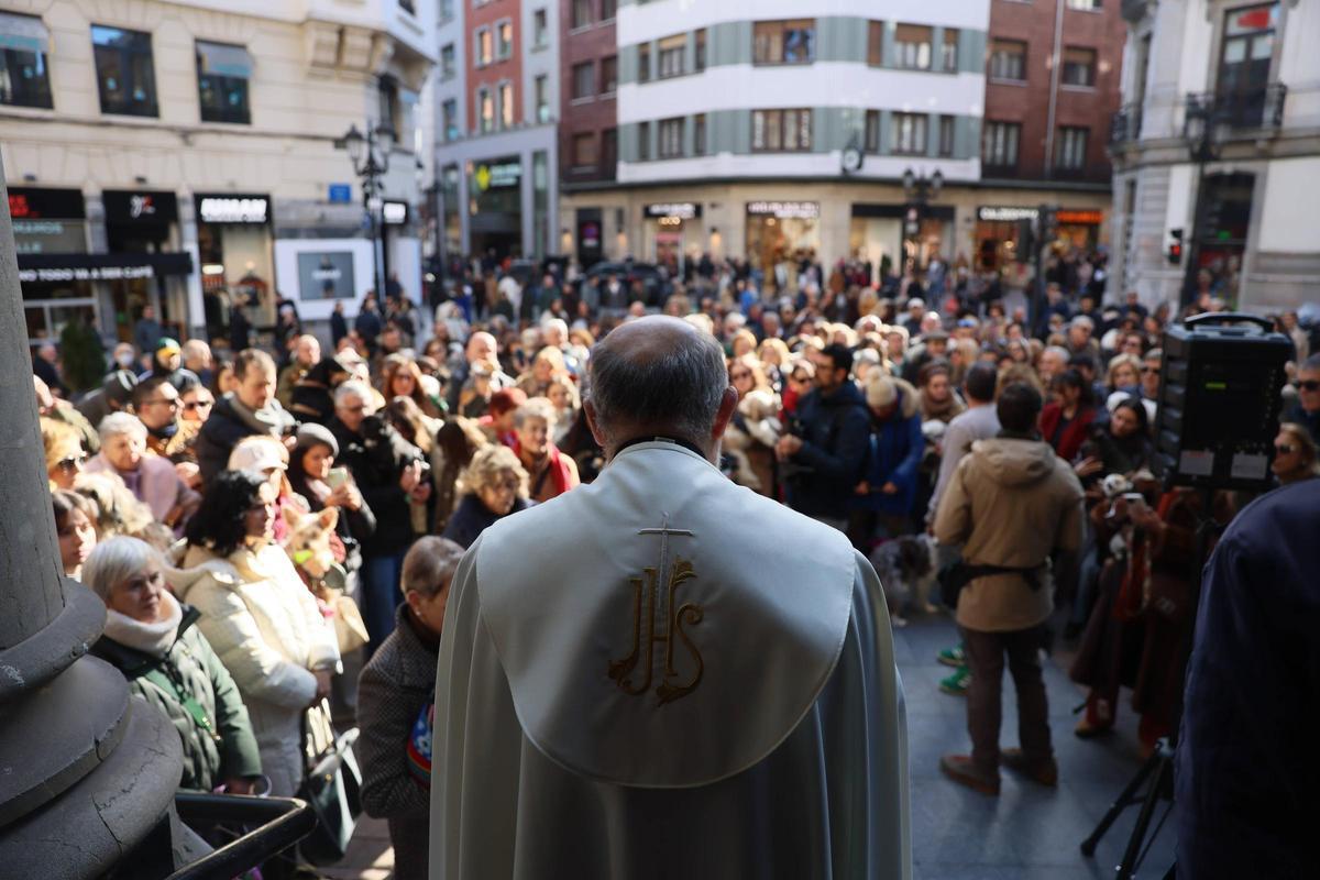 EN IMÁGENES: Oviedo bendice a sus mascotas por San Antón