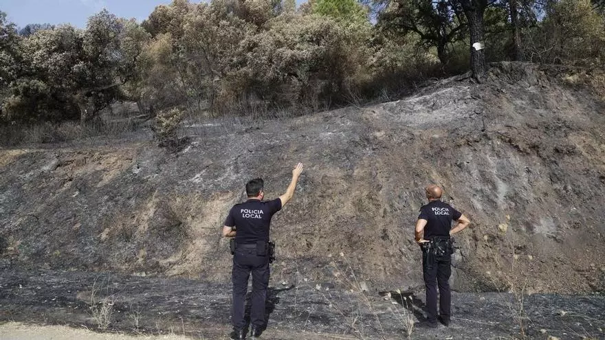 Vídeo: las imágenes muestran la herida del fuego en Cerro Muriano tras los últimos incendios forestales