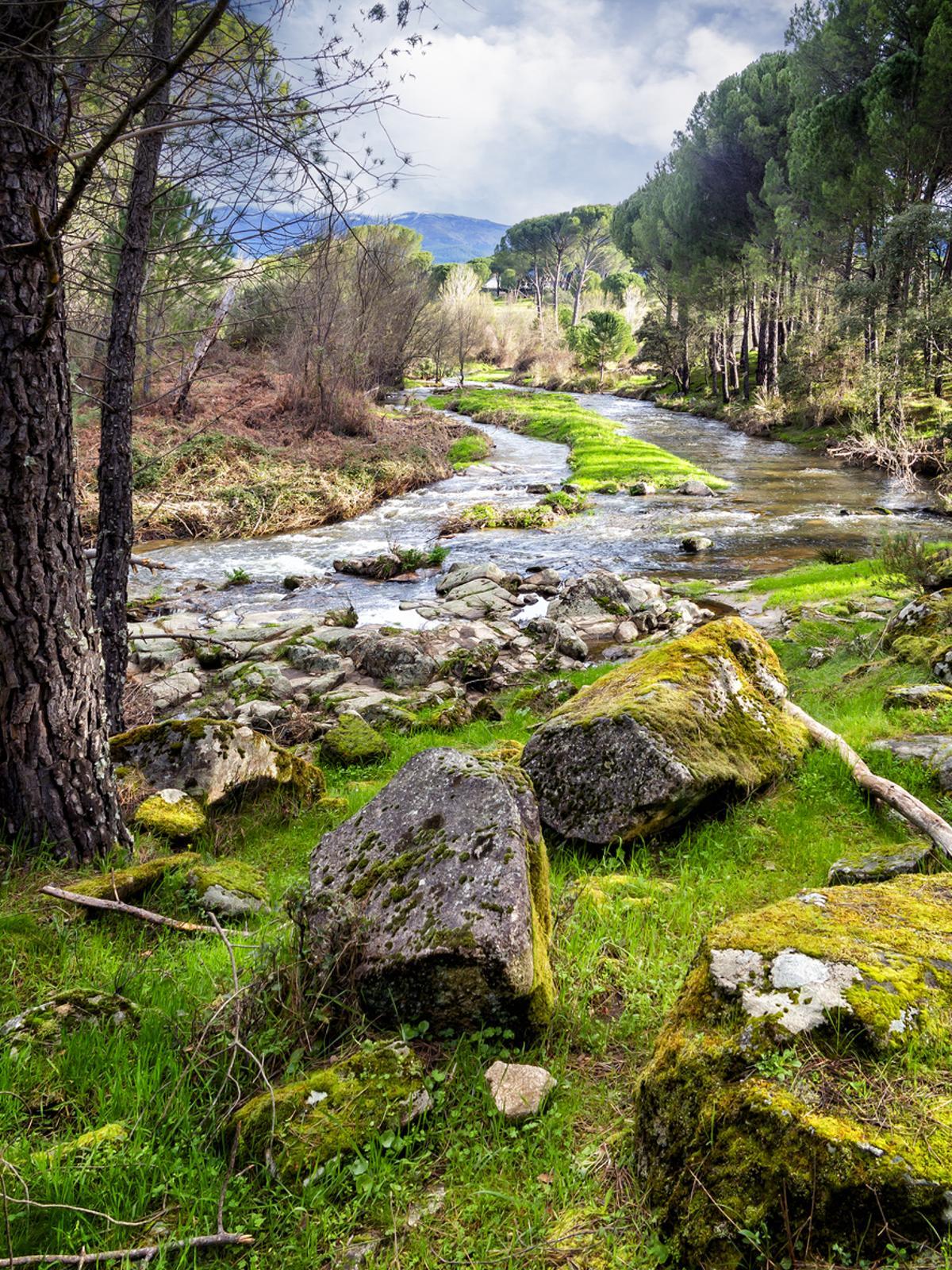 Otro imprescindible: el río Tietar.