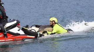 Crónica de un rescate nunca visto en el Muelle de Gijón: siete horas para salvar a un delfín desorientado
