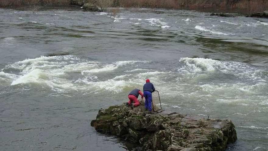 Pescadores en una pesqueira de Arbo. // Carlos Xil (D.P.)