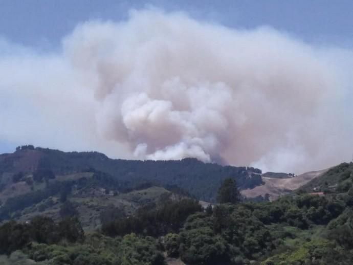 Incendio en la cumbre de Gran Canaria