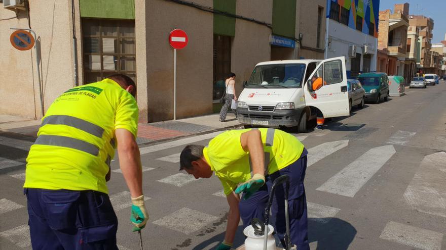 Operarios trabajan en los tratamientos.