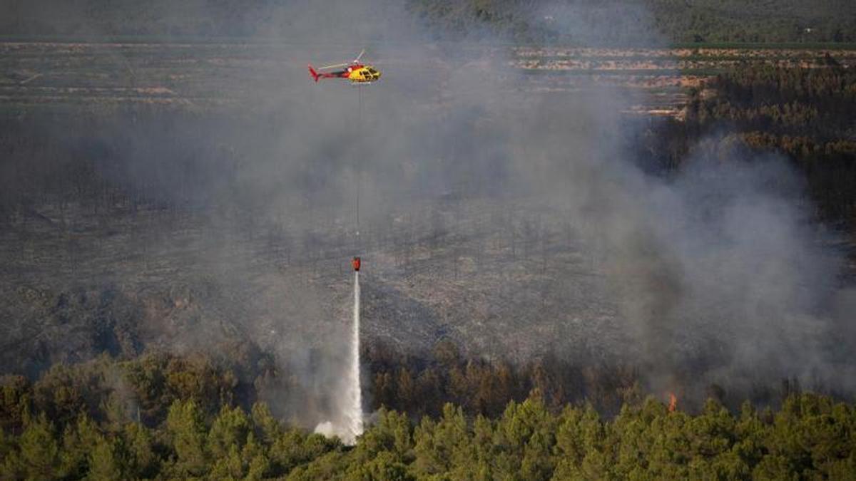 Actuación de los Bombers para apagar uno de los incendios del Alt Camp, en la demarcación de Tarragona.