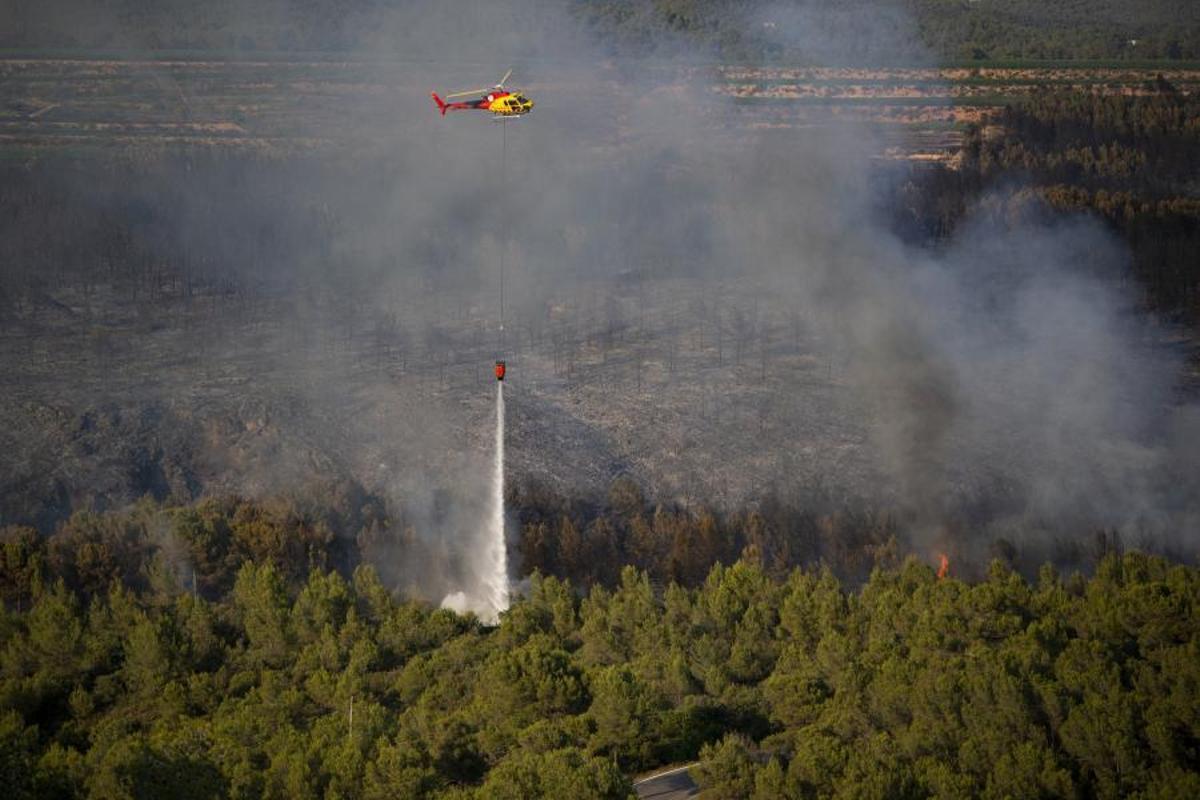 Actuación de los Bombers para apagar uno de los incendios del Alt Camp, en la demarcación de Tarragona.