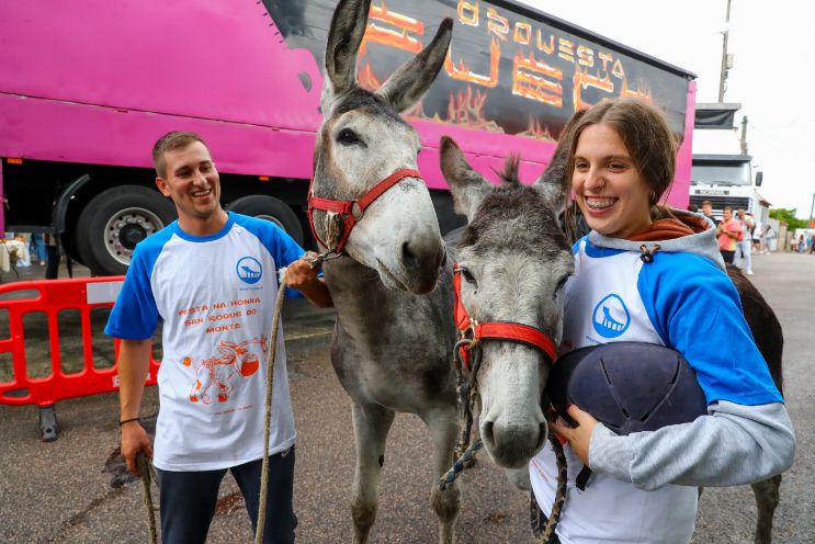 Los burros se lucen en el circuito de San Roque do Monte